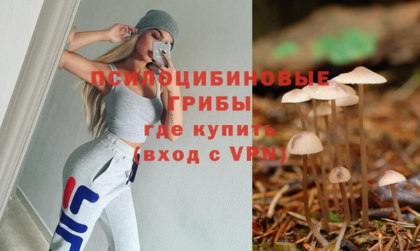 Альфа ПВП Горнозаводск