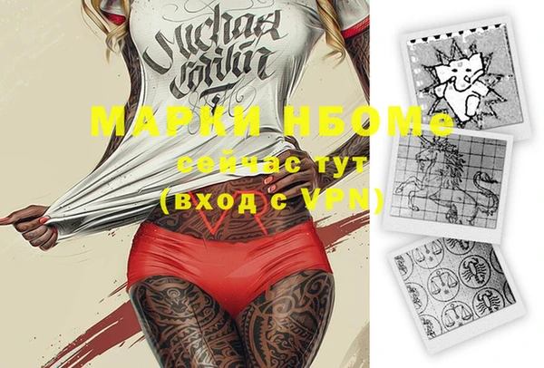 прущие грибы Чердынь