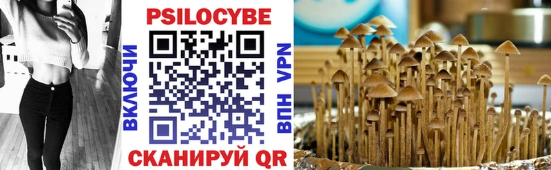 Купить  Оленегорск  Псилоцибиновые грибы Psilocybine cubensis 
